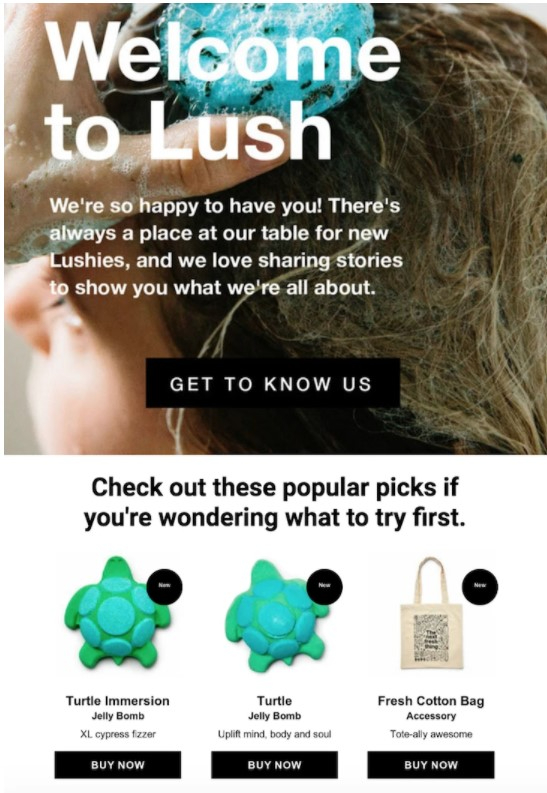 Lush_blog_e-mailmarketing.jpg